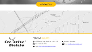 CONTACT US
Tel: 1-631-381-2994
Email:info@creative-biolabs.com
CREATIVE BIOLABS
45-1 Ramsey Road, Shirley, NY 11967, USA
Fax: 1-631-207-8356
Web: www.creative-biolabs.com/sdab
 