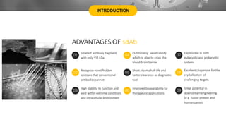 INTRODUCTION
ADVANTAGES OF sdAb
Smallest antibody fragment
with only ~15 kDa
01
Outstanding penetrability
which is able to cross the
blood-brain barrier
04
Recognize novel/hidden
epitopes that conventional
antibodies cannot
02
Short plasma half-life and
better clearance as diagnostic
tool
05
High stability to function and
exist within extreme conditions
and intracellular environment
03
Improved bioavailability for
therapeutic applications
06
Expressible in both
eukaryotic and prokaryotic
systems
07
Excellent chaperone for the
crystallization of
challenging targets
08
Great potential in
downstream engineering
(e.g. fusion protein and
humanization)
09
 