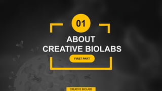 01
ABOUT
CREATIVE BIOLABS
FIRST PART
CREATIVE BIOLABS
 