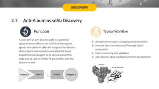 DISCOVERY
2.7 Anti-Albumins sdAb Discovery
Fusion with an anti-albumin sdAb is a potential
option to extend the serum half-life of therapeutic
agents. Anti-albumin sdAb will recognize the albumin
after properly administration and allow the fused
biopharmaceutical agent to be carried around the
body, and to take on similar PK parameters with the
albumin as well.
Function
 Animal immunization (llama/alpaca/camel/shark)
 Immune library construction/Premade library
preparation
 Library screening and validation
 Anti-albumin sdAb production/further development
Typical Workflow
 