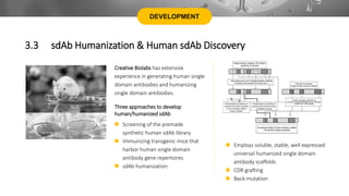 Creative Biolabs has extensive
experience in generating human single
domain antibodies and humanizing
single domain antibodies.
Three approaches to develop
human/humanized sdAb
 Screening of the premade
synthetic human sdAb library
 Immunizing transgenic mice that
harbor human single domain
antibody gene repertoires
 sdAb humanization
 Employs soluble, stable, well expressed
universal humanized single domain
antibody scaffolds
 CDR grafting
 Back-mutation
DEVELOPMENT
3.3 sdAb Humanization & Human sdAb Discovery
 
