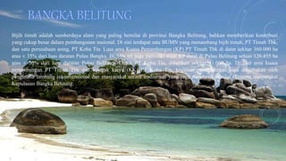 Bijih timah adalah sumberdaya alam yang paling bernilai di provinsi Bangka Belitung, bahkan memberikan kontribusi 
yang cukup besar dalam pembangunan nasional. Di sini terdapat satu BUMN yang menambang bijih timah, PT Timah Tbk, 
dan satu perusahaan asing, PT Koba Tin. Luas area Kuasa Pertambangan (KP) PT Timah Tbk di darat sekitar 360.000 ha 
atau ± 35% dari luas daratan Pulau Bangka. BUMN ini juga memiliki areal KP darat di Pulau Belitung seluas 126.455 ha 
atau ± 30% dari luas daratan Pulau Belitung. Untuk PT Koba Tin, diberikan sekitar 41.000 ha. Di luar area kuasa 
pertambangan PT Timah Tbk dan kontrak karya (KK) PT Koba Tin, kegiatan penambangan juga diusahakan oleh 
pengusaha tambang inkonvensional dan masyarakat secara tradisional yang juga memberikan nilai ekonomi masyarakat 
Kepulauan Bangka Belitung. 
 