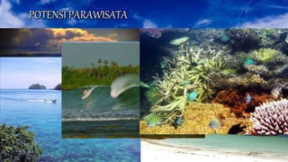 Sumber Daya Alam di Sumatera