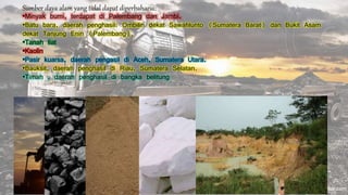 Sumber daya alam yang tidal dapat diperbaharui: 
•Minyak bumi, terdapat di Palembang dan Jambi. 
•Batu bara, daerah penghasil: Ombilin dekat Sawahlunto (Sumatera Barat) dan Bukit Asam 
dekat Tanjung Enin (Palembang). 
•Tanah liat 
•Kaolin 
•Pasir kuarsa, daerah pengasil di Aceh, Sumatera Utara. 
•Bauksit, daerah penghasil di Riau, Sumatera Selatan. 
•Timah , daerah penghasil di bangka belitung 
 