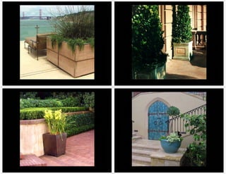 SDA Elements of the Garden