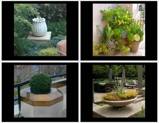SDA Elements of the Garden