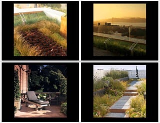 SDA Elements of the Garden