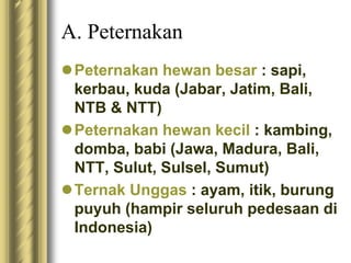 A. Peternakan
Peternakan hewan besar : sapi,
kerbau, kuda (Jabar, Jatim, Bali,
NTB & NTT)
Peternakan hewan kecil : kambing,
domba, babi (Jawa, Madura, Bali,
NTT, Sulut, Sulsel, Sumut)
Ternak Unggas : ayam, itik, burung
puyuh (hampir seluruh pedesaan di
Indonesia)
 