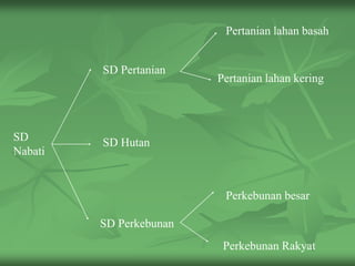 SD
Nabati
SD Pertanian
Pertanian lahan basah
Pertanian lahan kering
SD Hutan
SD Perkebunan
Perkebunan besar
Perkebunan Rakyat
 