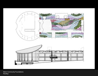 Marin Community Foundations
Rooftop
 