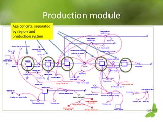 Using system dynamics for ex-ante impact assessment of food safety policies in pig value chains
