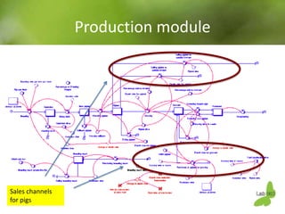 Using system dynamics for ex-ante impact assessment of food safety policies in pig value chains