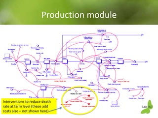 Using system dynamics for ex-ante impact assessment of food safety policies in pig value chains