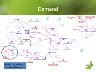 Using system dynamics for ex-ante impact assessment of food safety policies in pig value chains