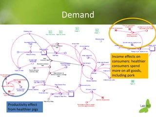 Using system dynamics for ex-ante impact assessment of food safety policies in pig value chains