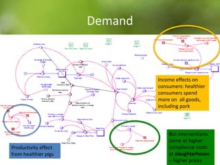 Using system dynamics for ex-ante impact assessment of food safety policies in pig value chains