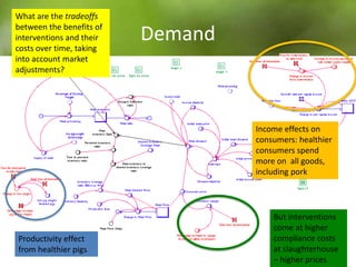 Using system dynamics for ex-ante impact assessment of food safety policies in pig value chains