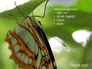 Using system dynamics for ex-ante impact assessment of food safety policies in pig value chains