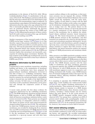 predominate in the absence of Sec23-24, while 100-nm
icosidodecahedrons (Figure 1c) predominate in the pre-
sence of Sec23-24. This ﬁnding is consistent with the idea
that the inner-layer subunits Sec23-24, which bind to cargo
either directly (for transmembrane cargo) or indirectly via
transmembranecargoadapters(forluminal cargo), transmit
information about the cargo to the cage subunits Sec13-31.
This is structurally plausible because Sec23-24 heterodi-
mers are positioned directly underneath the four-way
junctions that represent the vertices of the COPII cage
(Figure 1a). By inﬂuencing the geometry of these vertices,
Sec23-24 could control curvature of the cage and thereby
the size of the resulting coat [10
].
Another consequence of the structural results is that the
COPII coat has large ‘windows’ [10
] (Figure 1a–c). One
therefore expects that proteins embedded in the vesicle
membrane would be accessible to cytosolic proteins, even
large ones. This may be particularly relevant for tethering
factors (discussed below) that interact with proteins or
phospholipids on vesicle surfaces [13,14]; the COPII coat
structure implies that uncoating is not necessarily a pre-
requisite for tethering factor recruitment. Similarly, the
large windows in the COPII cage would provide access for
those tethering factors that bind to inner-layer subunits of
COPII coats [15,16].
Membrane deformation by BAR-domain
proteins
Fundamental to many membrane transactions, including
budding and ﬁssion, is the manipulation of membrane
shape. Various mechanisms have been proposed for
protein-induced membrane deformation (reviewed in
[3]). One of these is a ‘scaffolding’ mechanism, where
membranes conform to a positively charged surface prof-
fered by a protein. In a second mechanism, a hydrophobic
wedge is inserted into one leaﬂet of the lipid bilayer to
induce curvature. In both cases, it is thought that sufﬁ-
cient force to drive membrane deformation can be gener-
ated only through the cooperative actions of many
subunits.
A recent study provides the ﬁrst direct evidence for
cooperative deformation by the scaffolding mechanism
[17
]. The BAR superfamily of proteins includes classical
BAR domains as well as F-BAR and I-BAR domains,
which all function in membrane tubulation before vesicle
scission (reviewed in [18]). These proteins are elongated
dimers consisting of antiparallel coiled-coil a-helices.
The dimers are gently curved, with conserved positively
charged residues lining one face [19,20]. The mechanism,
by which the F-BAR proteins interact with and deform
membranes, was revealed by docking the X-ray structure
into cryo-EM reconstructions of F-BAR domains bound
to both ﬂat and curved lipid bilayers [17
] (Figure 1e and
f). On ﬂat membranes (not shown), F-BAR proteins
assembled in a tip-to-tip manner and with their basic
concave surfaces oblique to the membrane, so that maxi-
mum curvature was not imposed. By contrast, F-BAR
proteins on tubules formed helical ﬁlaments that wound
tightly around the membrane, with the entire basic,
concave surface of each dimer in contact with the lipid
bilayer. While basic residues on this surface were import-
ant for tubulation, hydrophobic residues that could func-
tion as wedges were not. The protein dimers on the
tubules were found to interact via tip-to-tip interactions
in a manner reminiscent of that observed for dimers
bound to ﬂat membranes, but in addition the tubule-
bound dimers exhibited extensive lateral interactions
(Figure 1f). The lateral interactions are unavailable to
F-BAR proteins arrayed on ﬂat membranes, and their
formation was proposed to be critical in driving polymer-
ization and concomitant membrane deformation. Accord-
ing to this model, individual dimers, partially arranged in
tip-to-tip arrays, cause local membrane curvature. As the
dimers transition to impose their full curvature on the
lipid bilayer, the lateral interaction surfaces are exposed,
leading to F-BAR polymerization and membrane tubula-
tion.
Other proteins in the BAR superfamily probably work by
similar, or slightly modiﬁed, mechanisms. I-BAR proteins
differ from classical BAR and F-BAR proteins in that their
convex and not their concave surface is positively charged
[21,22]. The I-BAR domains associate with the inner
leaﬂet of membranes and drive membrane protrusion
in a direction opposite that of BAR and F-BAR domains
[23]. However, as with F-BAR proteins, the interaction
with membranes appears to occur via a cooperative scaf-
folding mechanism [24]. Further, some I-BAR domains
have N-terminal amphipathic helices that insert into the
membrane bilayer, affecting tubulation efﬁciency and
tubule diameter [24].
It is tempting to speculate that ESCRT-III proteins,
which drive vesicle budding into multivesicular bodies
[25
,26,27
], may mediate membrane deformation by a
similar mechanism. These proteins all contain a basic, a-
helical domain similar in structure to a BAR domain
[28,29]. Like BAR domains, these domains contain ﬁve
a-helices, including a helical hairpin and two shorter
helices that pack against it. In the crystal structure of
the CHMP3 protein, elongated rod-like dimers were
observed [29]. Two groups have combined cryo-EM of
protein-coated tubules with crystallographic studies to
formulate models for ESCRT-III-induced membrane
deformation [25
,27
]. As the proposed mechanisms dif-
fer, however, this remains an active ﬁeld of research.
Dsl1 vesicle tethering complex
Another area in which X-ray crystallography and EM have
been fruitfully combined is in the study of vesicle tether-
ing factors, and especially the so-called multisubunit
tethering factors (MTCs). MTCs are believed to mediate
Structure and mechanism in membrane trafficking Hughson and Reinisch 455
www.sciencedirect.com Current Opinion in Cell Biology 2010, 22:454–460
 