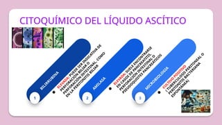 1
B
I
L
I
R
R
U
B
I
N
A
●
E
L
E
V
A
D
A
:
P
U
E
D
E
S
E
R
I
N
D
I
C
A
T
I
V
A
D
E
P
E
R
F
O
R
A
C
I
Ó
N
B
I
L
I
A
R
O
P
E
R
F
O
R
A
C
I
Ó
N
I
N
T
E
S
T
I
N
A
L
,
C
O
M
O
E
N
L
A
P
E
R
I
T
O
N
I
T
I
S
B
I
L
I
A
R
2
A
M
I
L
A
S
A
●
E
L
E
V
A
D
A
:
S
U
E
L
E
E
N
C
O
N
T
R
A
R
S
E
E
N
C
A
S
O
S
D
E
P
A
N
C
R
E
A
T
I
T
I
S
,
P
E
R
F
O
R
A
C
I
Ó
N
I
N
T
E
S
T
I
N
A
L
O
P
S
E
U
D
O
Q
U
I
S
T
E
S
P
A
N
C
R
E
Á
T
I
C
O
S
3
M
I
C
R
O
B
I
O
L
O
G
I
A
●
C
U
L
T
I
V
O
P
O
S
I
T
I
V
O
(
T
U
B
E
R
C
U
L
O
S
I
S
P
E
R
I
T
O
N
E
A
L
O
P
E
R
I
T
O
N
I
T
I
S
B
A
C
T
E
R
I
A
N
A
E
S
P
O
N
T
Á
N
E
A
)
CITOQUÍMICO DEL LÍQUIDO ASCÍTICO
 