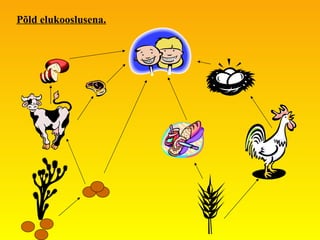 Põld elukooslusena. 