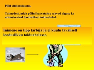 Põld elukooslusena. Taimedest, mida põllul kasvatakse saavad alguse ka mitmekesised looduslikud toiduahelad. Inimene on tipp tarbija ja ei kuulu tavaliselt looduslikku toiduahelasse. 