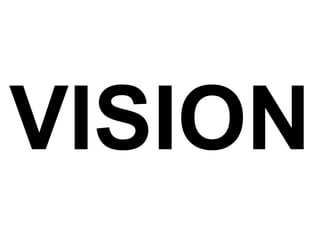 VISION 