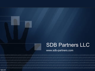 SDB Partners LLC www.sdb-partners.com 