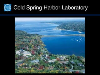 Cold Spring Harbor Laboratory 