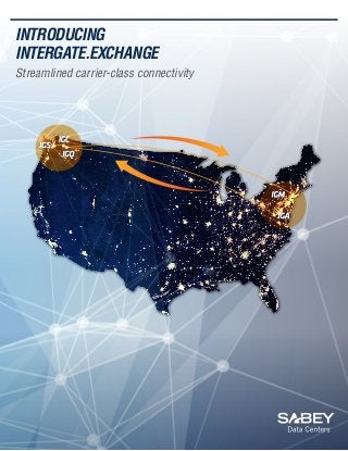 INTRODUCING
INTERGATE.EXCHANGE
Streamlined carrier-class connectivity

 