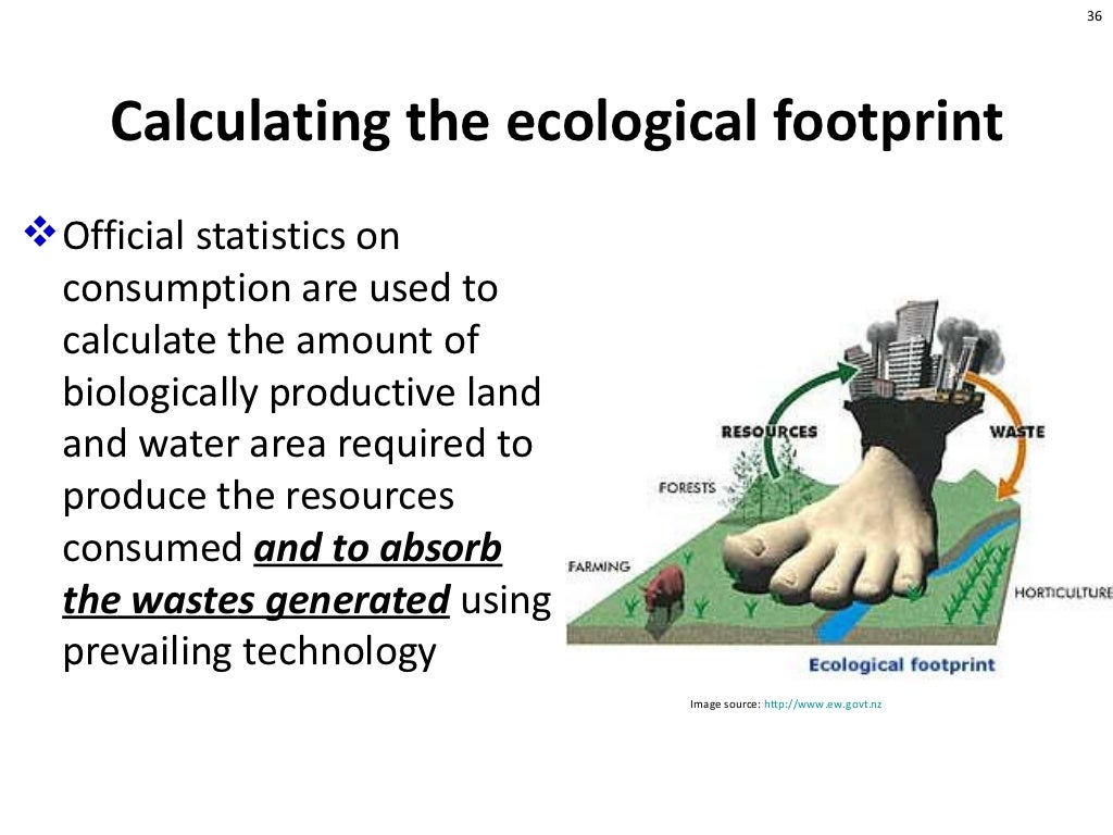 36 Calculating the ecological footprint