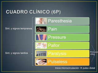 Paresthesia
Pain
Pressure
Pallor
Paralysis
Pulseless
Sint. y signos tempranos
Sint. y signos tardíos
Inicio:microcirculación  pulso distal
Pintracom
>PAS
 