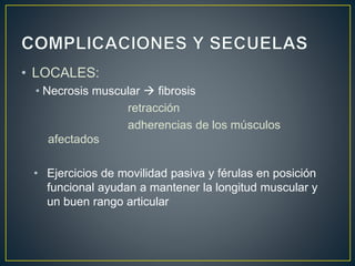 • LOCALES:
• Necrosis muscular  fibrosis
retracción
adherencias de los músculos
afectados
• Ejercicios de movilidad pasiva y férulas en posición
funcional ayudan a mantener la longitud muscular y
un buen rango articular
 