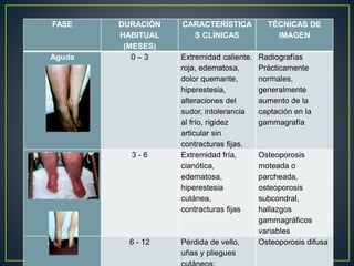 FASE DURACIÓN
HABITUAL
(MESES)
CARACTERÍSTICA
S CLÍNICAS
TÉCNICAS DE
IMAGEN
Aguda 0 – 3 Extremidad caliente,
roja, edematosa,
dolor quemante,
hiperestesia,
alteraciones del
sudor, intolerancia
al frío, rigidez
articular sin
contracturas fijas.
Radiografías
Prácticamente
normales,
generalmente
aumento de la
captación en la
gammagrafía
Distrófica 3 - 6 Extremidad fría,
cianótica,
edematosa,
hiperestesia
cutánea,
contracturas fijas
Osteoporosis
moteada o
parcheada,
osteoporosis
subcondral,
hallazgos
gammagráficos
variables
Atrófica 6 - 12 Pérdida de vello,
uñas y pliegues
Osteoporosis difusa
 