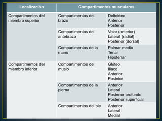 Localización Compartimentos musculares
Compartimentos del
miembro superior
Compartimentos del
brazo
Deltoideo
Anterior
Posterior
Compartimentos del
antebrazo
Volar (anterior)
Lateral (radial)
Posterior (dorsal)
Compartimentos de la
mano
Palmar medio
Tenar
Hipotenar
Compartimentos del
miembro inferior
Compartimentos del
muslo
Glúteo
Iliaco
Anterior
Posteior
Compartimentos de la
pierna
Anterior
Lateral
Posterior profundo
Posterior superficial
Compartimentos del pie Anterior
Lateral
Medial
 