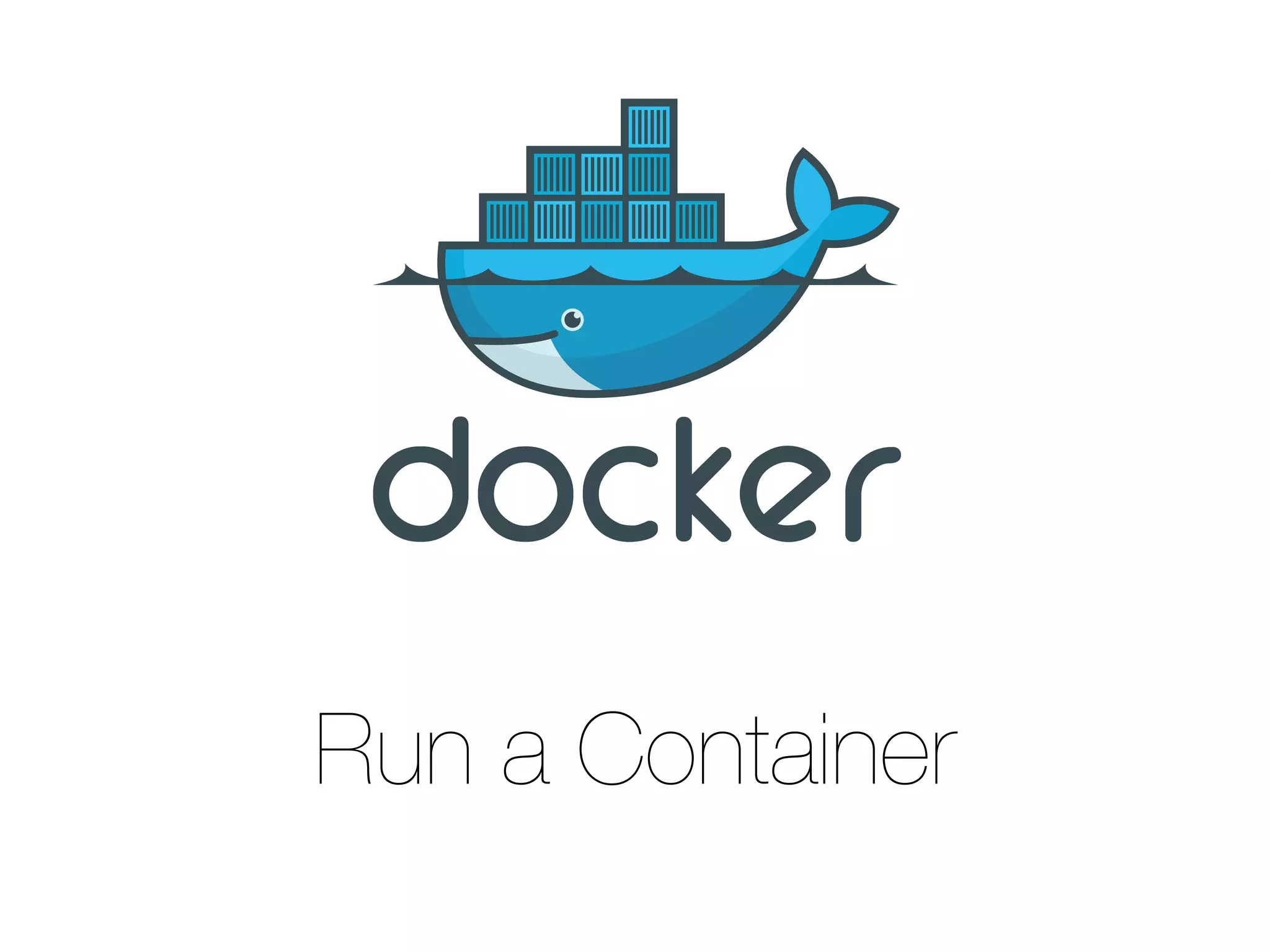 Run a Container
 