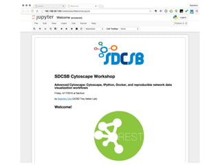 SDCSB Advanced Tutorial: Reproducible Data Visualization Workflow with ...