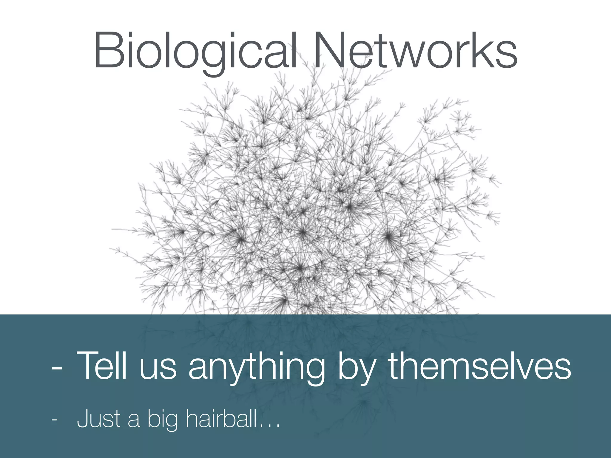 Biological Networks
- Tell us anything by themselves
- Just a big hairball…
 