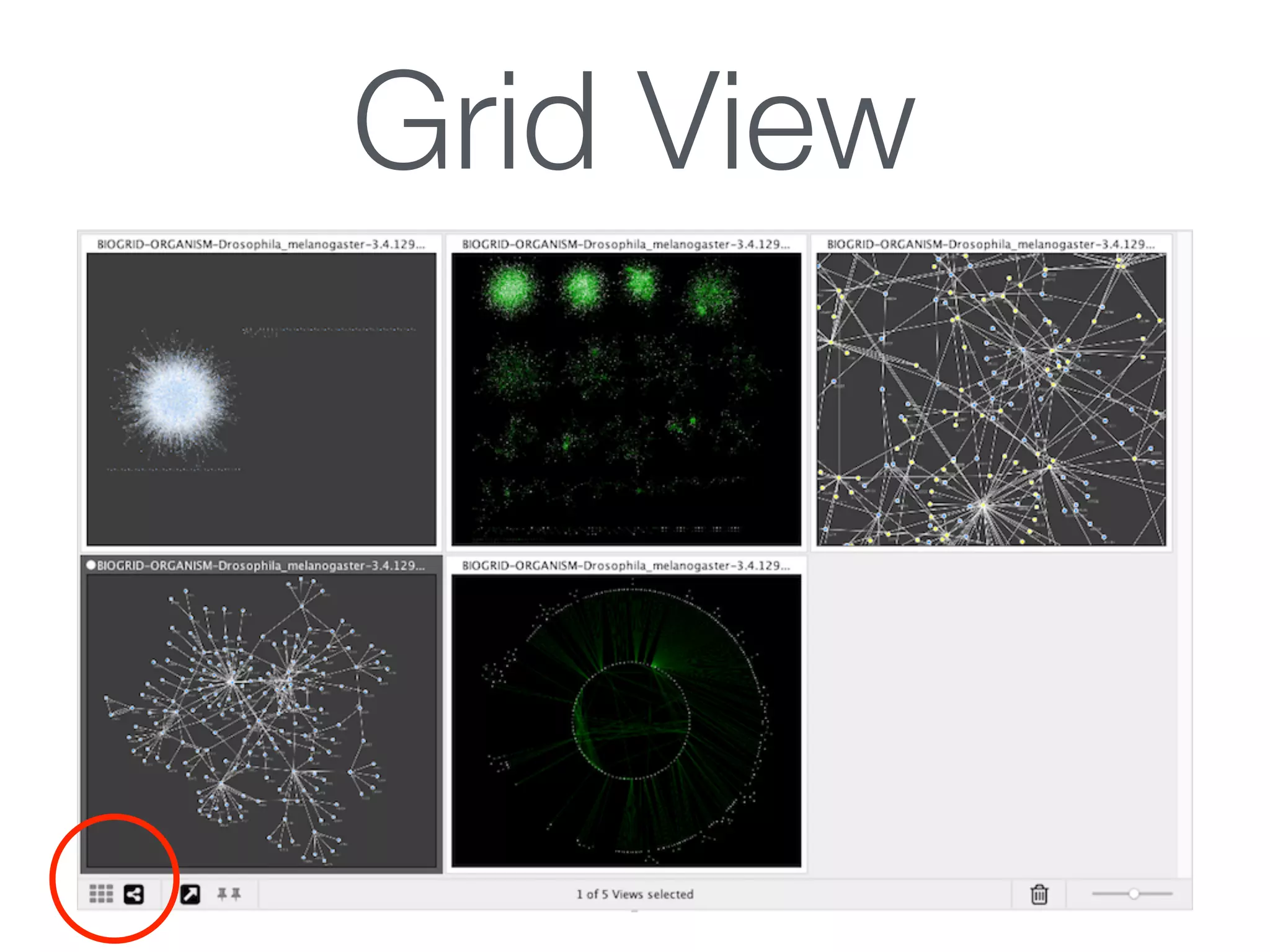 Grid View
 