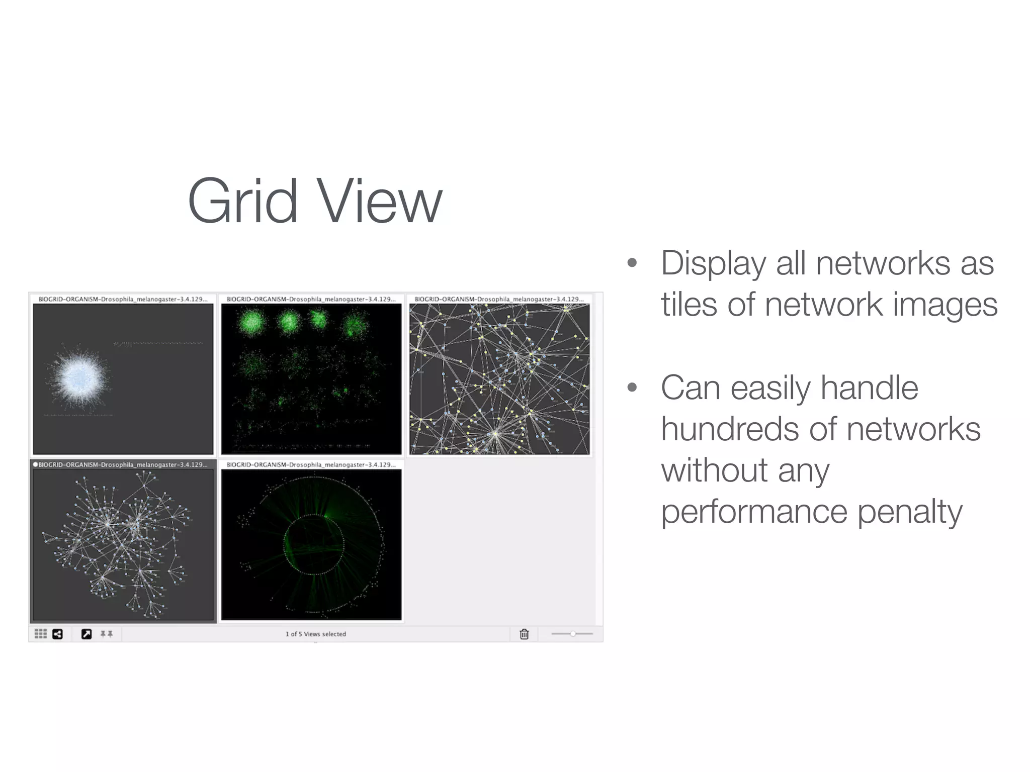 Grid View
• Display all networks as
tiles of network images
• Can easily handle
hundreds of networks
without any
performance penalty
 