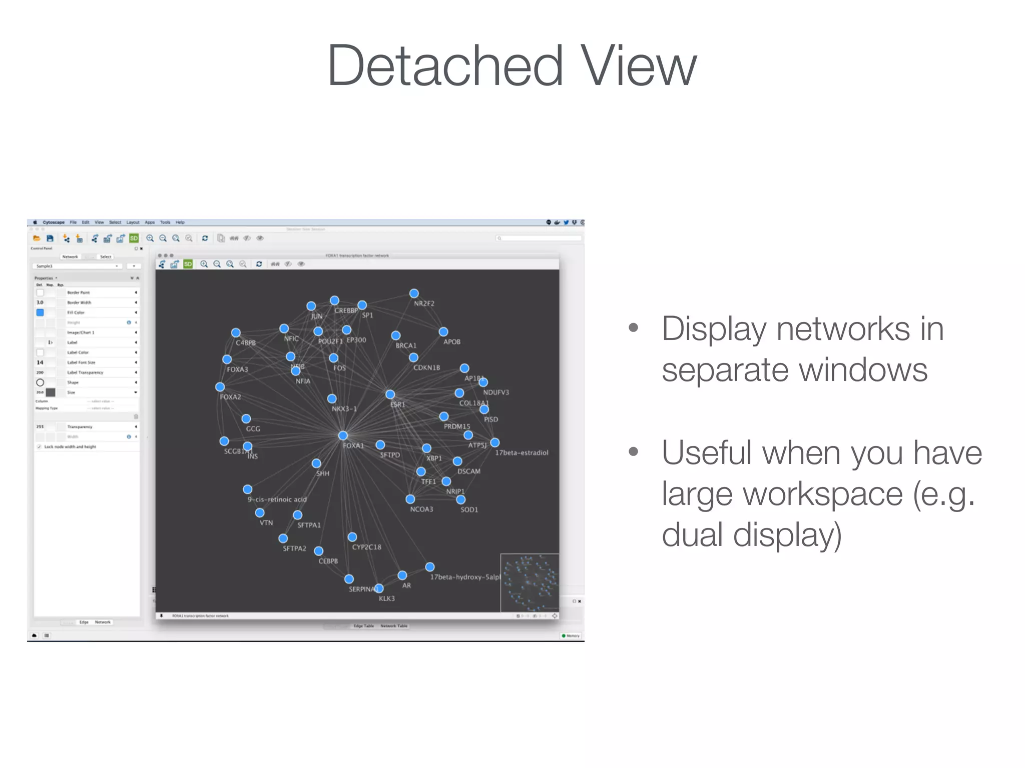 Detached View
• Display networks in
separate windows
• Useful when you have
large workspace (e.g.
dual display)
 