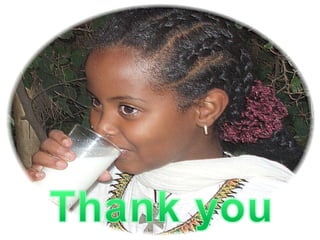 Experience of  Cooperatives in Dairy Development in Ethiopia the case of Selale Dairy cooperative union