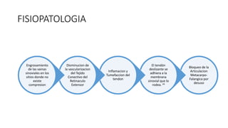 FISIOPATOLOGIA
Bloqueo de la
Articulacion
Metacarpo-
Falangica por
desuso
El tendón
deslizante se
adhiera a la
membrana
sinovial que lo
rodea. 24
Inflamacion y
Tumefaccion del
tendon
Disminucion de
la vascularizacion
del Tejido
Conectivo del
Retinaculo
Extensor
Engrosamiento
de las vainas
sinoviales en los
sitios donde no
existe
compresion
 