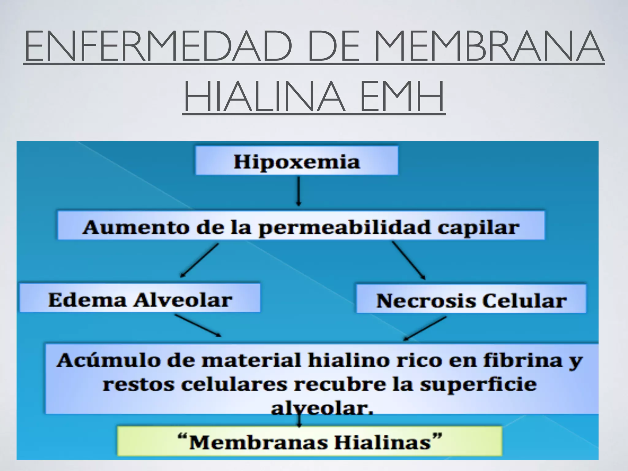 ENFERMEDAD DE MEMBRANA
HIALINA EMH
 