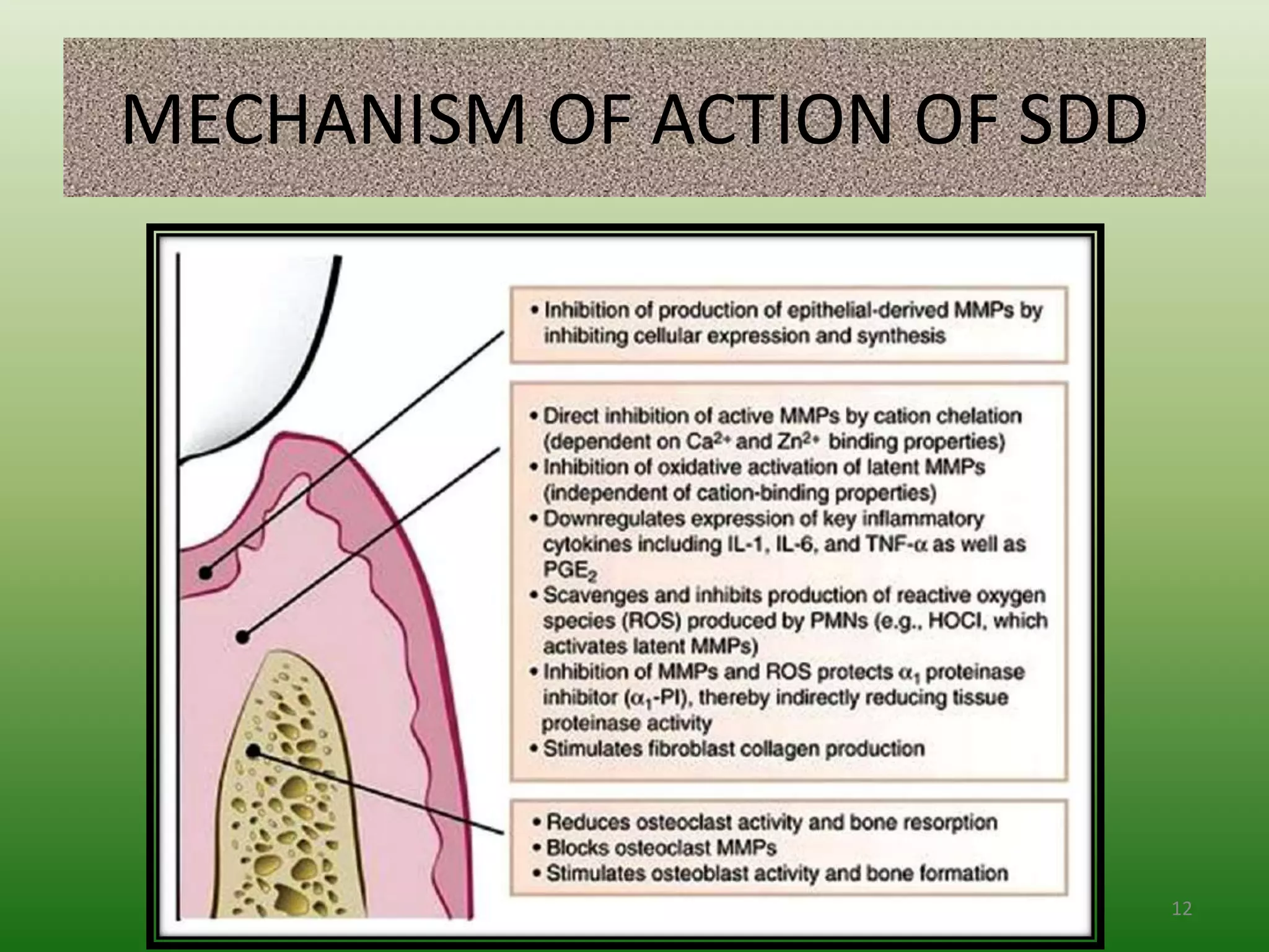 MECHANISM OF ACTION OF SDD
12
 