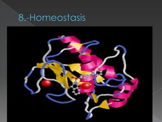 8.-Homeostasis