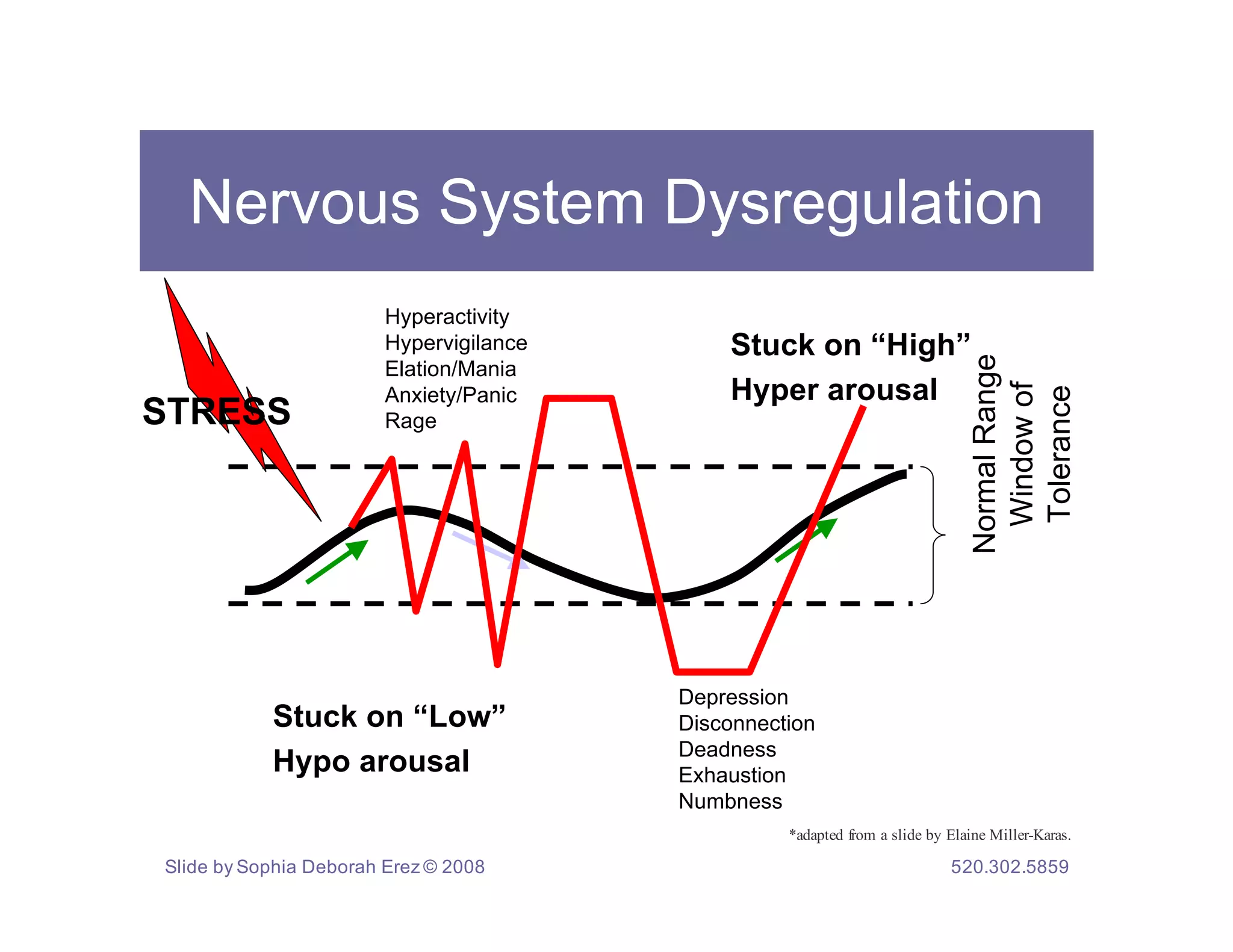 Nervous System Dysregulation
                        Hyperactivity
                        Hypervigilance       Stuck on “High”




                                                                               Normal Range
                        Elation/Mania
                                             Hyper arousal




                                                                                Window of
                        Anxiety/Panic




                                                                                Tolerance
STRESS                  Rage




                                         Depression
           Stuck on “Low”                Disconnection
                                         Deadness
           Hypo arousal                  Exhaustion
                                         Numbness
                                                   *adapted from a slide by Elaine Miller-Karas.

Slide by Sophia Deborah Erez © 2008                                         520.302.5859
 