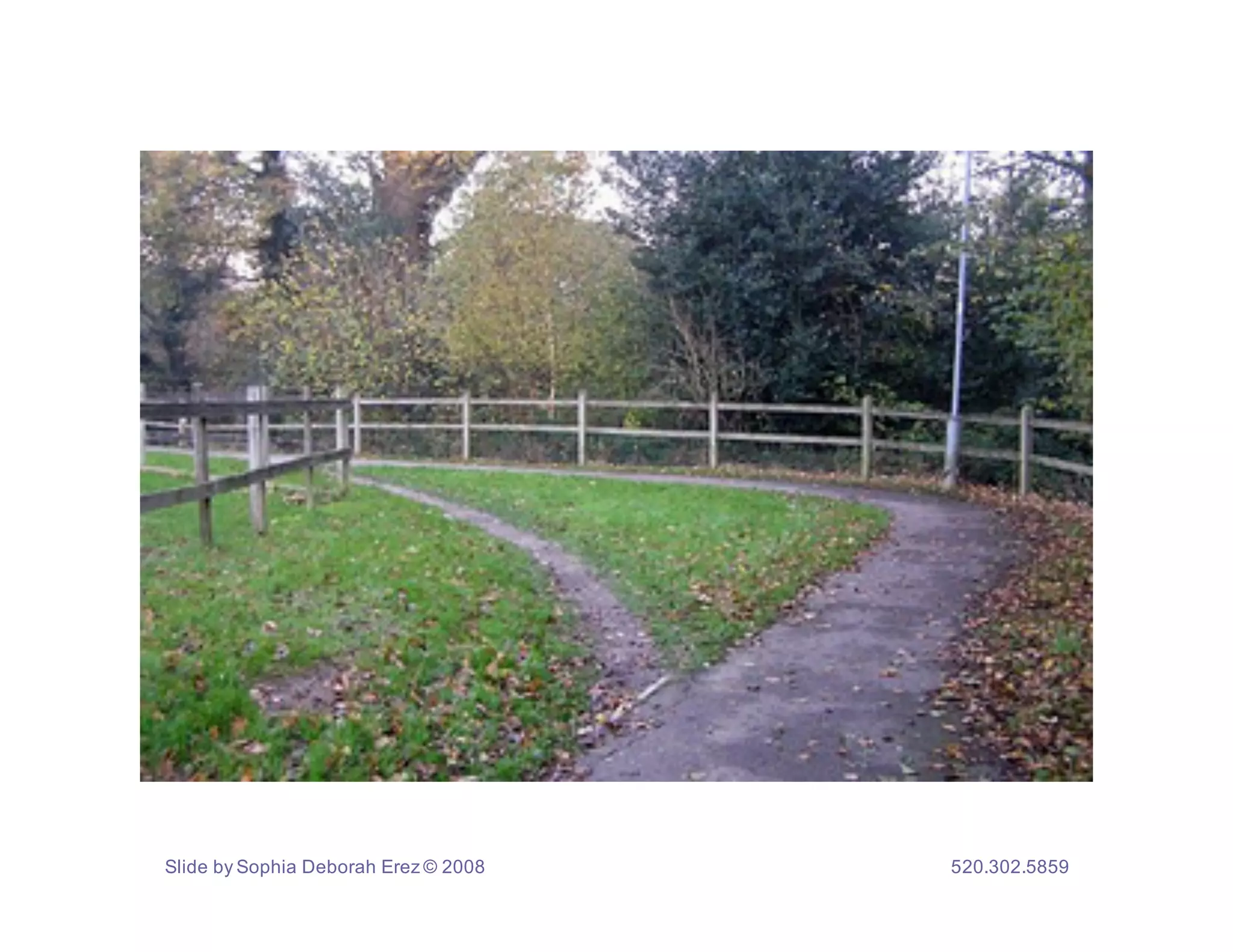 Slide by Sophia Deborah Erez © 2008   520.302.5859
 