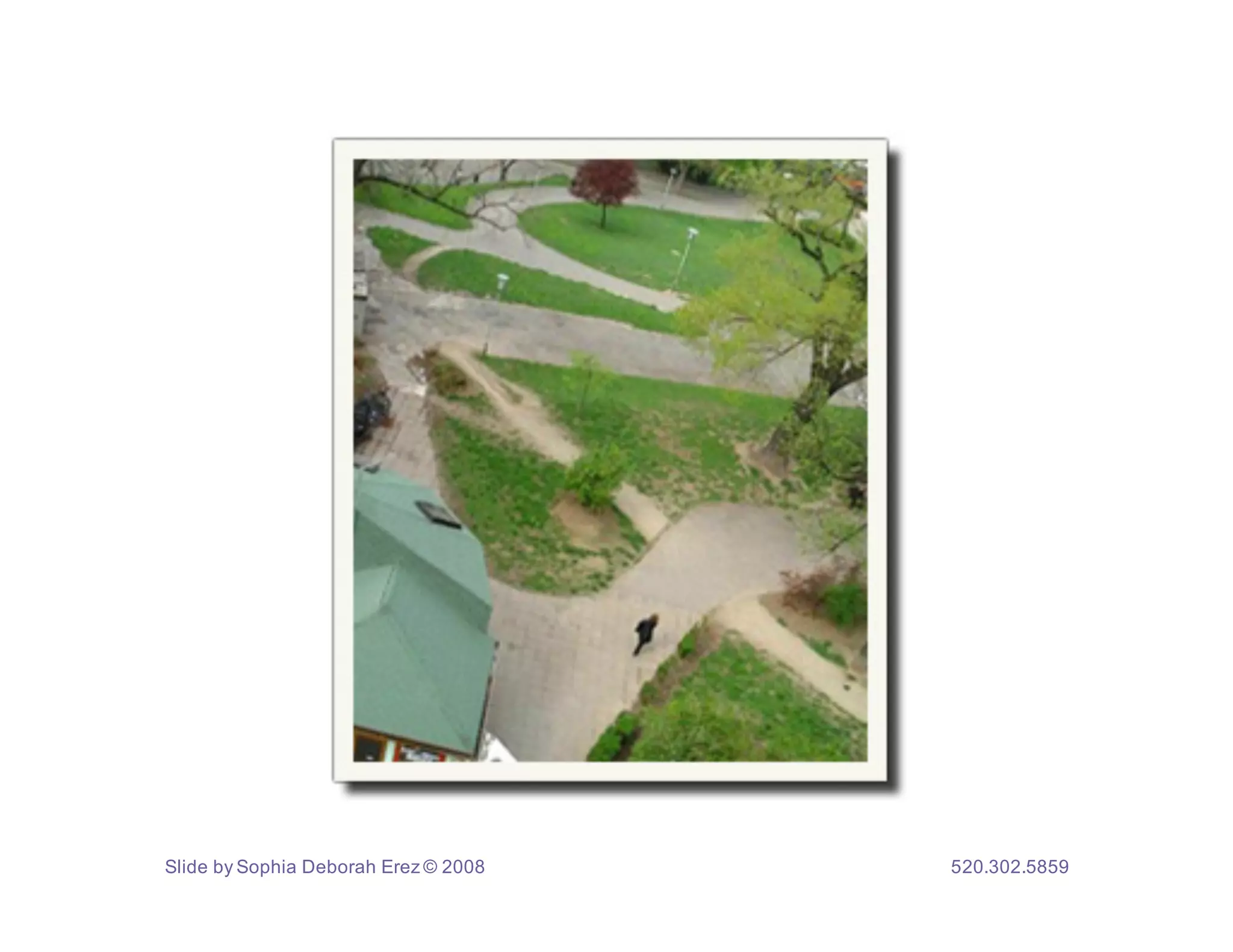 Slide by Sophia Deborah Erez © 2008   520.302.5859
 