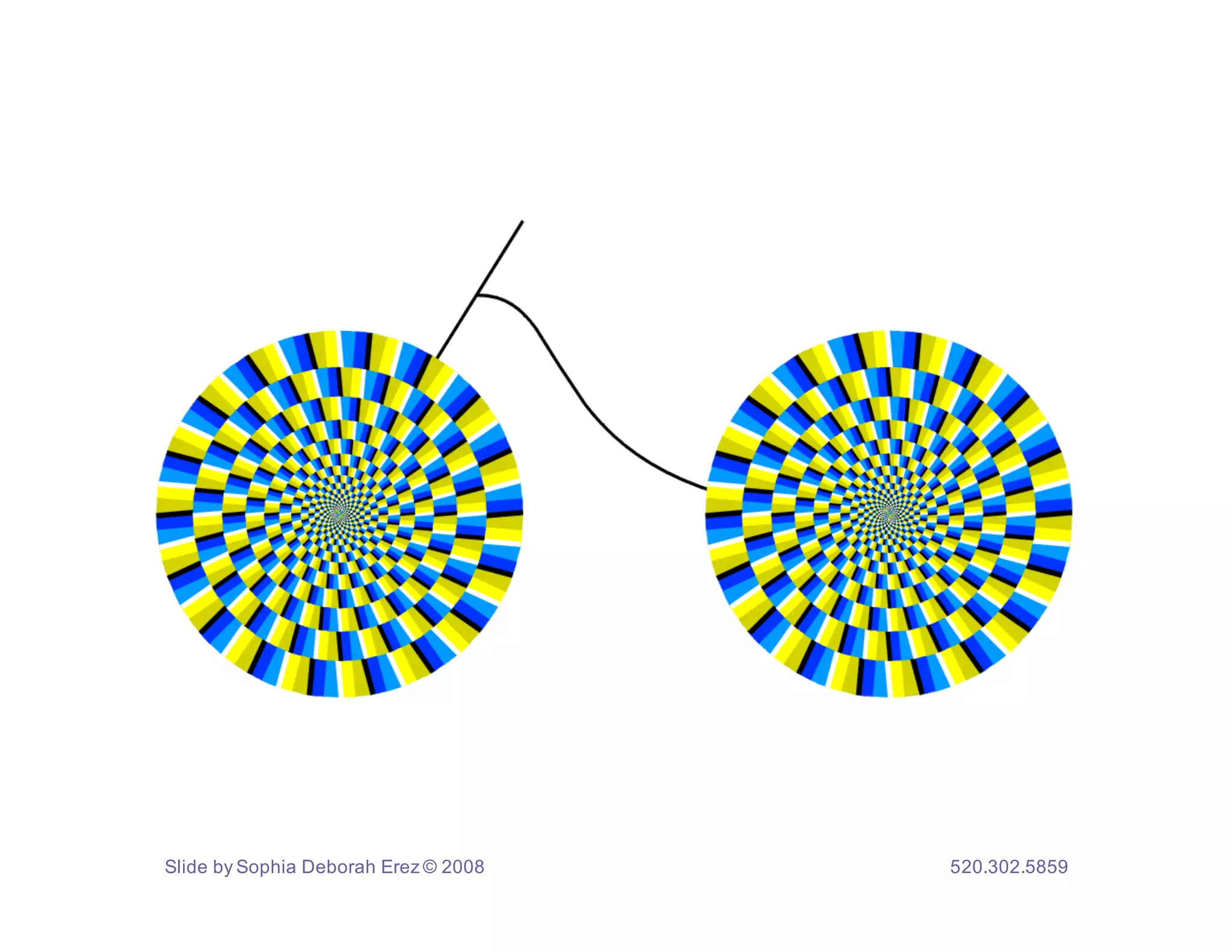 Slide by Sophia Deborah Erez © 2008   520.302.5859
 